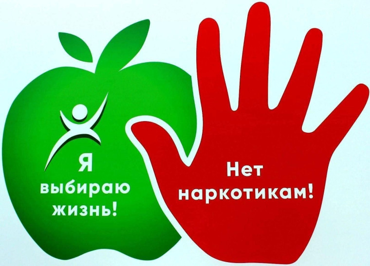 Информационный буклет Правда и мифы о наркотиках.